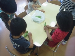つ　ブログ２.jpg